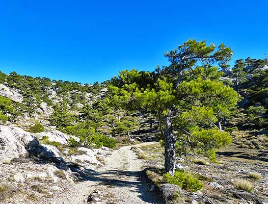 Ruta al Pico de Cabañas